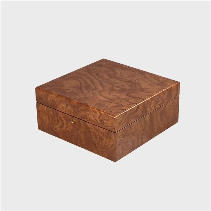 watch box with pillow